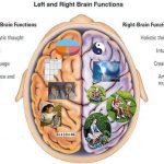 Right-Brain-vs-Left-Brain-2