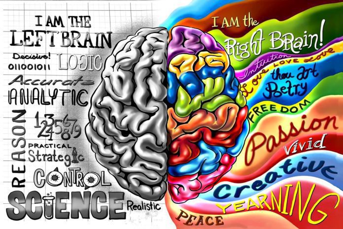 left-versus-right-brain